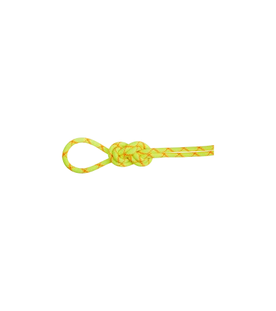 Mammut 9.5 Alpine Core Protect Dry Rope 60m