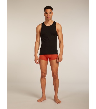 Icebreaker Merino Blend 125 Cool-Lite Anatomica Trunks