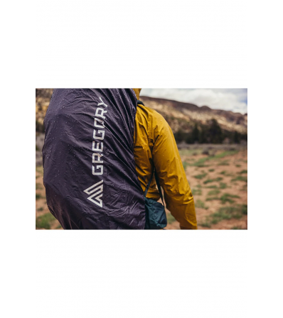 Gregory Paragon 40L Backpack