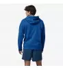 Patagonia '73 Skyline Uprisal Hoody